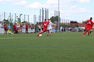 爱游戏电竞下载-特色足球运动场设计结合智慧城市理念，实现多功能利用，趣味足球场设计