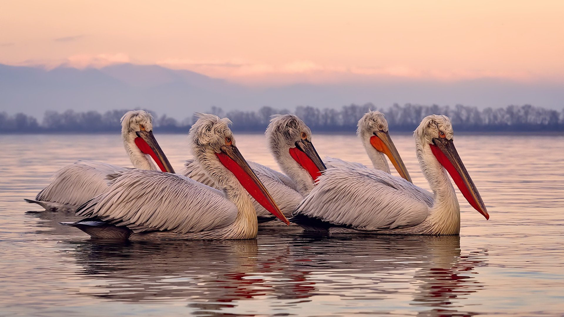 爱游戏官方-“中国足球产业不断壮大，助推体育经济新增长点”，中国足球产业规模